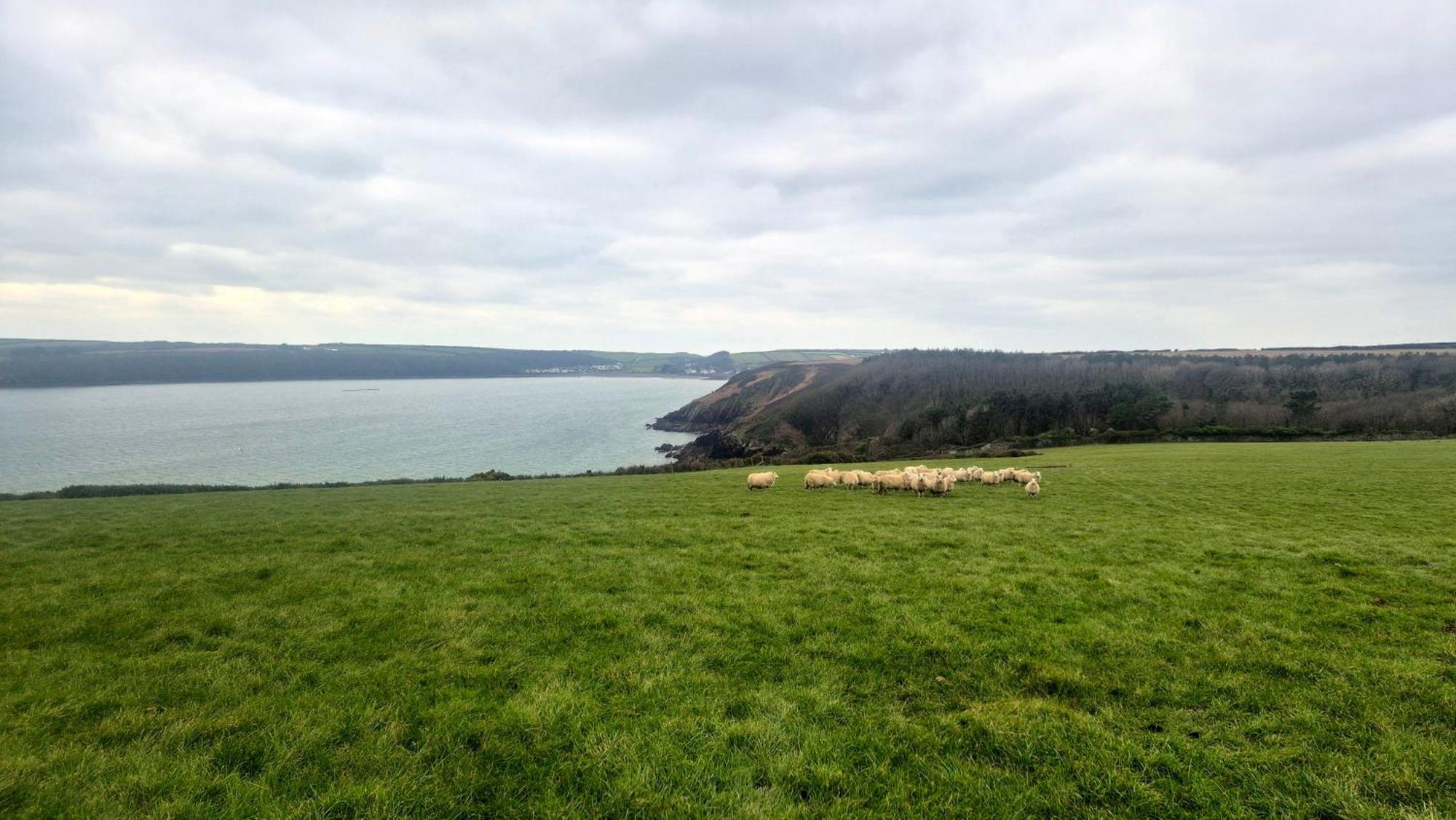 Coast Path Camping Saint Ishmaels  Exterior photo